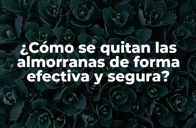 ¿cómo Se Quitan las Almorranas de Forma Efectiva y Segura?