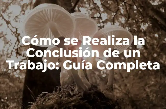 Cómo Se Realiza la Conclusión de un Trabajo: Guía Completa