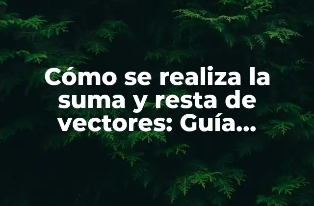 Cómo Se Realiza la Suma y Resta de Vectores: Guía Completa y Detallada