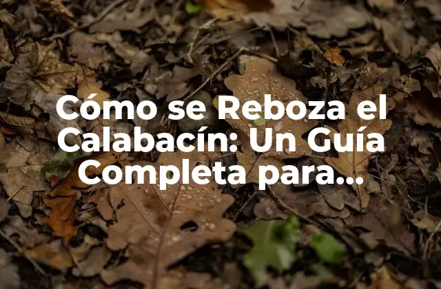 Cómo Se Reboza el Calabacín: un Guía Completa para Principiantes
