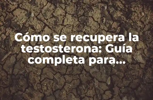Cómo Se Recupera la Testosterona: Guía Completa para Aumentar los Niveles de Testosterona