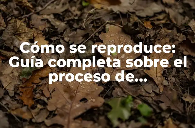 Cómo Se Reproduce: Guía Completa sobre el Proceso de Reproducción