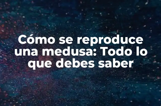 Cómo Se Reproduce una Medusa: Todo Lo que Debes Saber
