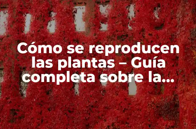 Cómo Se Reproducen las Plantas – Guía Completa sobre la Reproducción Vegetal