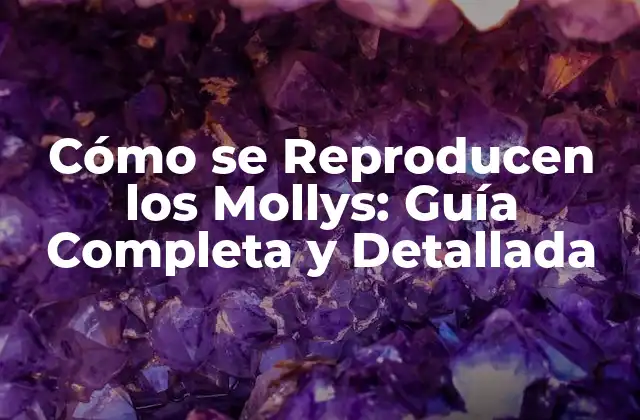 Cómo Se Reproducen los Mollys: Guía Completa y Detallada