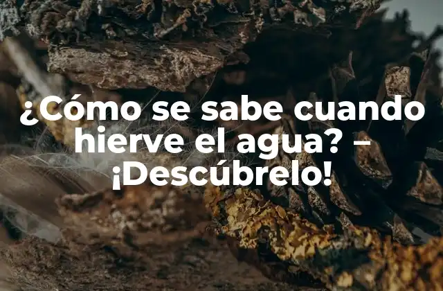 ¿cómo Se Sabe Cuando Hierve el Agua? – ¡descúbrelo!