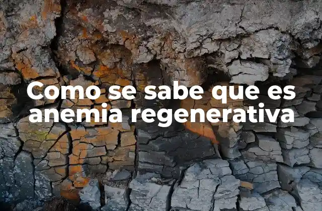 Como Se Sabe que es Anemia Regenerativa