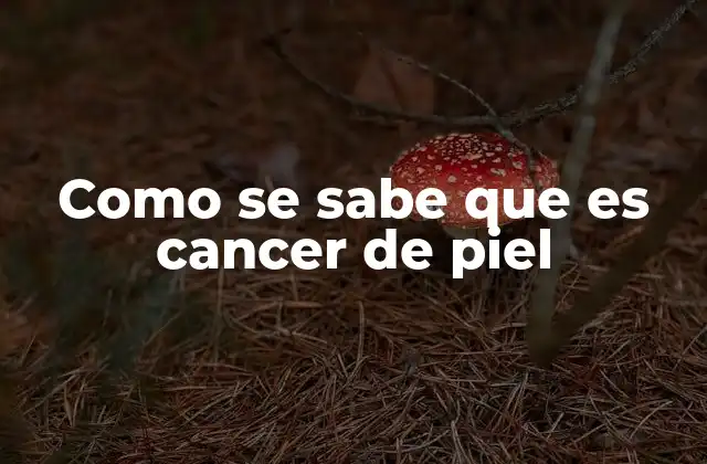 Como Se Sabe que es Cancer de Piel
