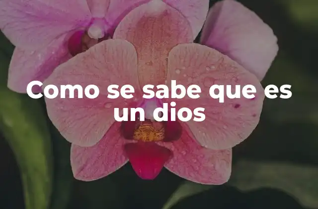 Como Se Sabe que es un Dios