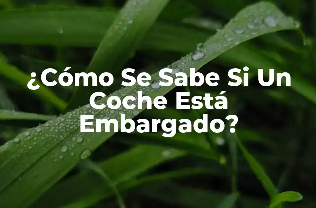 ¿cómo Se Sabe Si un Coche Está Embargado?
