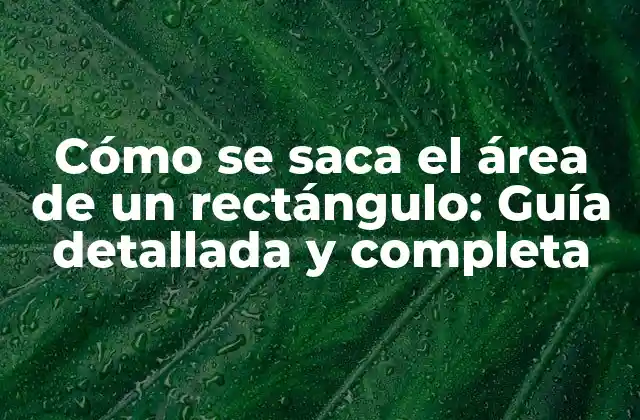 Cómo Se Saca el Área de un Rectángulo: Guía Detallada y Completa