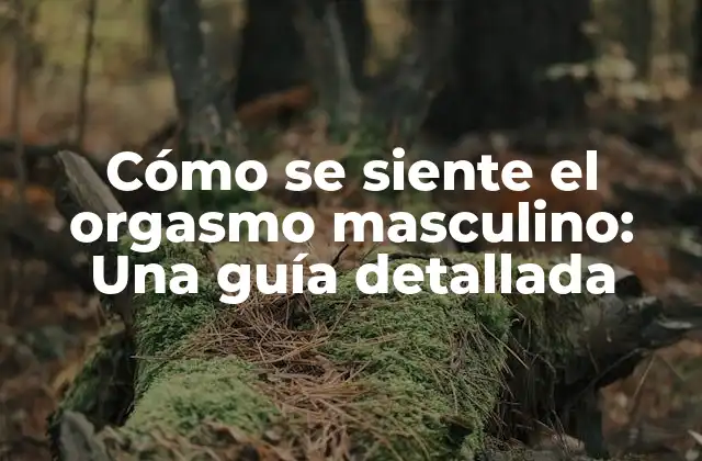 La fisiología detrás del orgasmo masculino
