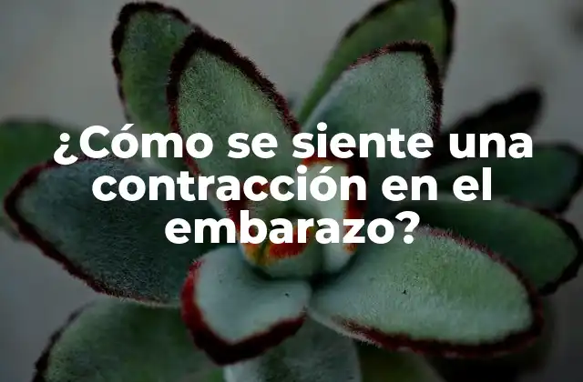 ¿cómo Se Siente una Contracción en el Embarazo?