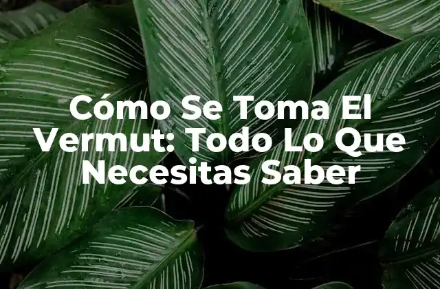 Cómo Se Toma el Vermut: Todo Lo que Necesitas Saber