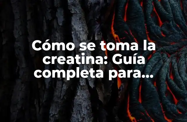 Cómo Se Toma la Creatina: Guía Completa para Maximizar Sus Beneficios