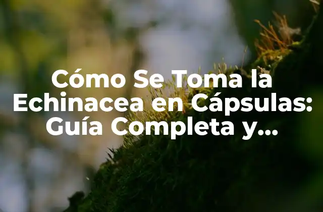 Cómo Se Toma la Echinacea en Cápsulas: Guía Completa y Detallada