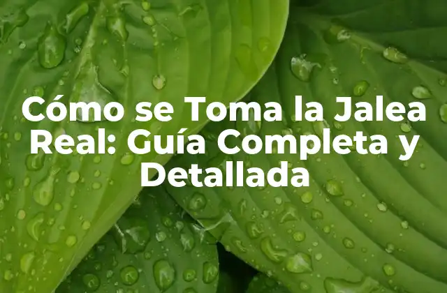 Cómo Se Toma la Jalea Real: Guía Completa y Detallada