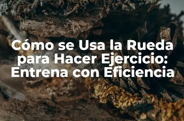 Cómo Se Usa la Rueda para Hacer Ejercicio: Entrena con Eficiencia