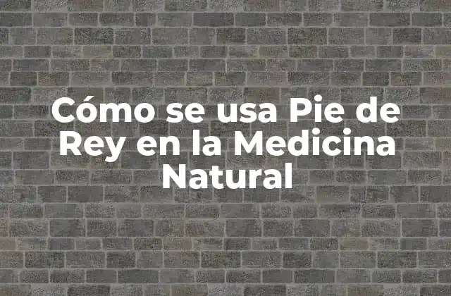 Cómo Se Usa Pie de Rey en la Medicina Natural 2 Propiedades Medicinales del Pie de Rey