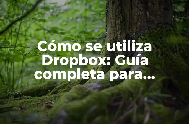 Cómo Se Utiliza Dropbox: Guía Completa para Almacenar y Compartir Archivos