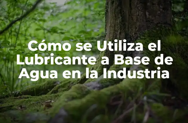 Cómo Se Utiliza el Lubricante a Base de Agua en la Industria