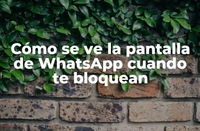 Cómo Se Ve la Pantalla de Whatsapp Cuando Te Bloquean