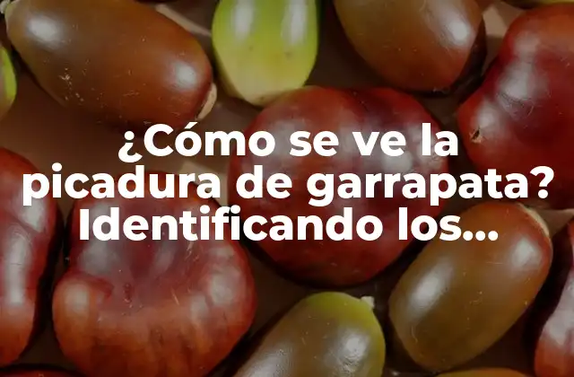 ¿cómo Se Ve la Picadura de Garrapata? Identificando los Síntomas y Precauciones