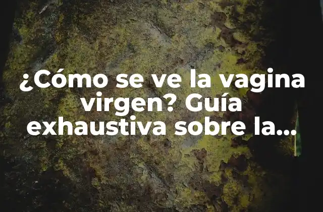 ¿cómo Se Ve la Vagina Virgen? Guía Exhaustiva sobre la Anatomía Femenina
