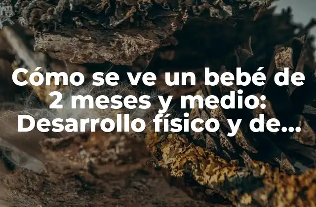 Cómo Se Ve un Bebé de 2 Meses y Medio: Desarrollo Físico y de Habilidades