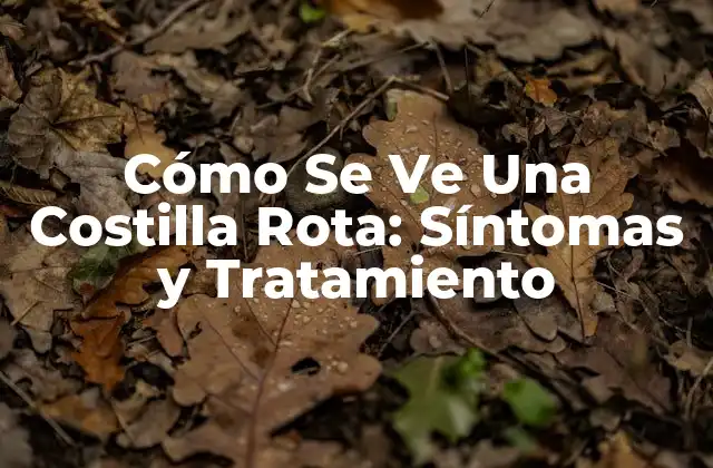 Cómo Se Ve una Costilla Rota: Síntomas y Tratamiento