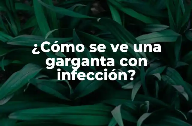 ¿cómo Se Ve una Garganta con Infección? 2 Síntomas de una infección de garganta