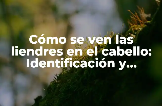 Cómo Se Ven las Liendres en el Cabello: Identificación y Soluciones
