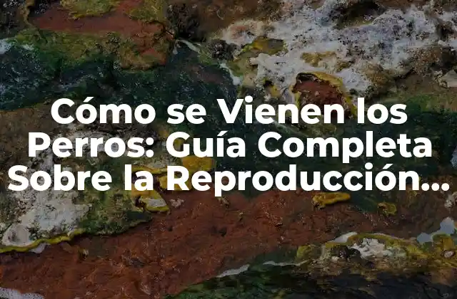 Cómo Se Vienen los Perros: Guía Completa sobre la Reproducción Canina