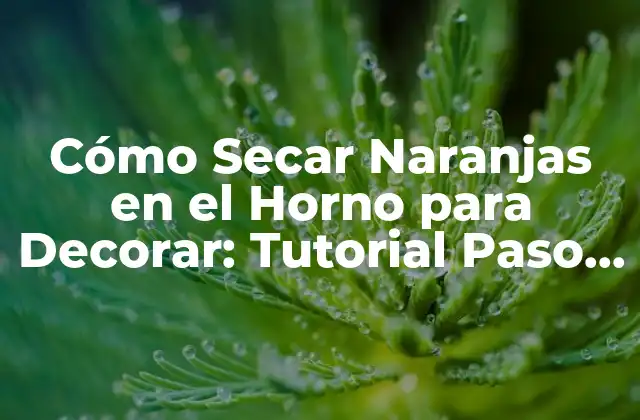 Cómo Secar Naranjas en el Horno para Decorar: Tutorial Paso a Paso