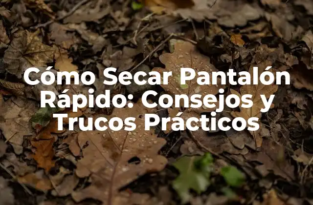 Cómo Secar Pantalón Rápido: Consejos y Trucos Prácticos