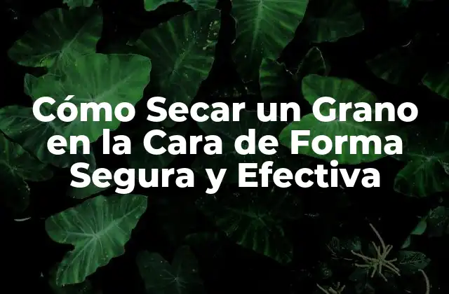 Cómo Secar un Grano en la Cara de Forma Segura y Efectiva