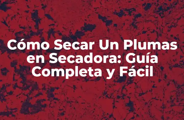 Cómo Secar un Plumas en Secadora: Guía Completa y Fácil