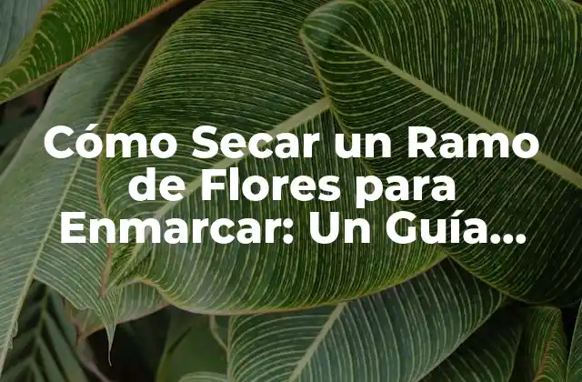 Cómo Secar un Ramo de Flores para Enmarcar: un Guía Detallada