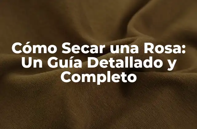 Cómo Secar una Rosa: un Guía Detallado y Completo 2 ¿Por qué Secar una Rosa es una Buena Idea?