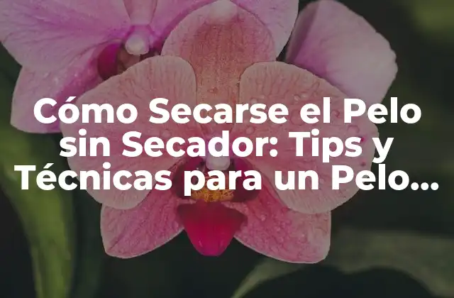 Cómo Secarse el Pelo sin Secador: Tips y Técnicas para un Pelo Saludable 2 ¿Por qué Secarse el Pelo sin Secador es Importante?