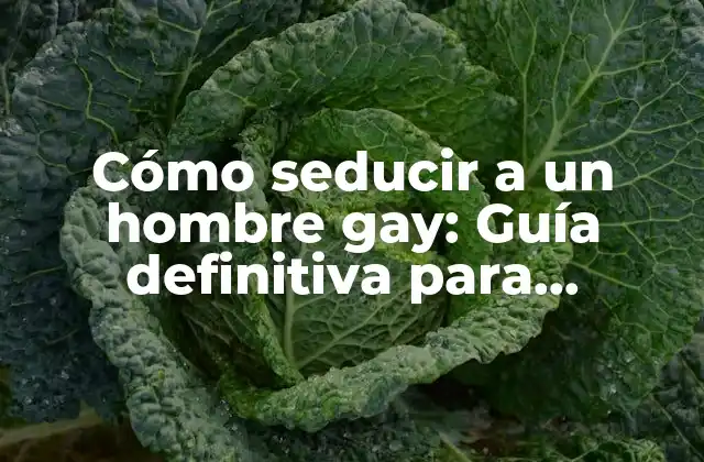 Cómo Seducir a un Hombre Gay: Guía Definitiva para Hombres Homosexuales