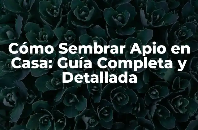 Cómo Sembrar Apio en Casa: Guía Completa y Detallada