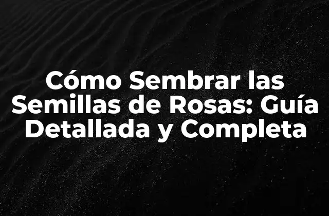 Cómo Sembrar las Semillas de Rosas: Guía Detallada y Completa