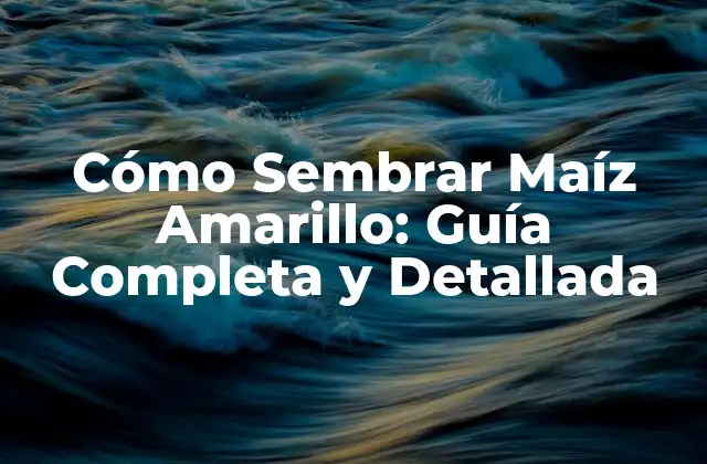 Cómo Sembrar Maíz Amarillo: Guía Completa y Detallada