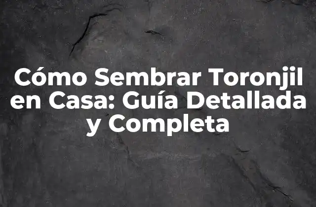 Cómo Sembrar Toronjil en Casa: Guía Detallada y Completa