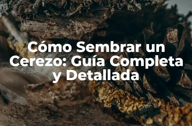 Cómo Sembrar un Cerezo: Guía Completa y Detallada