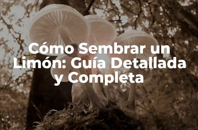 Cómo Sembrar un Limón: Guía Detallada y Completa