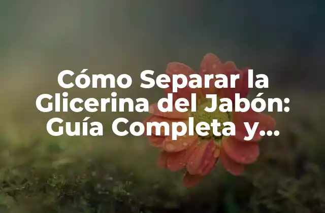 Cómo Separar la Glicerina Del Jabón: Guía Completa y Detallada