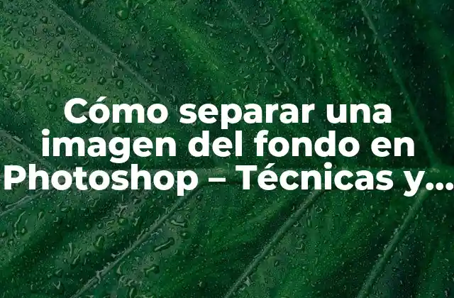 Cómo Separar una Imagen Del Fondo en Photoshop – Técnicas y Herramientas