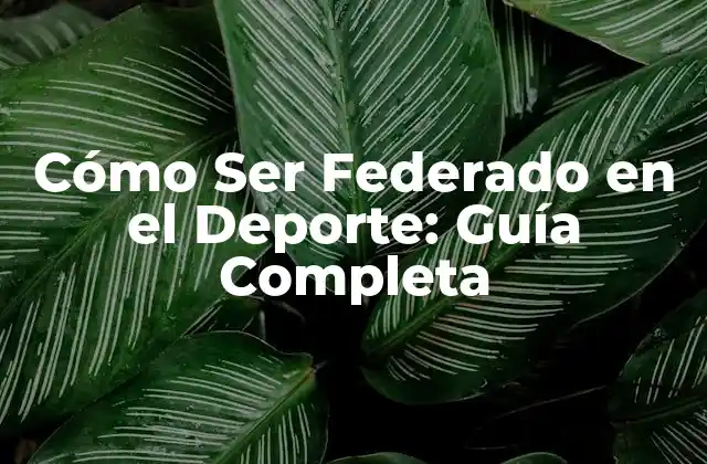 Cómo Ser Federado en el Deporte: Guía Completa